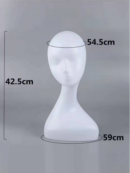 Head Display